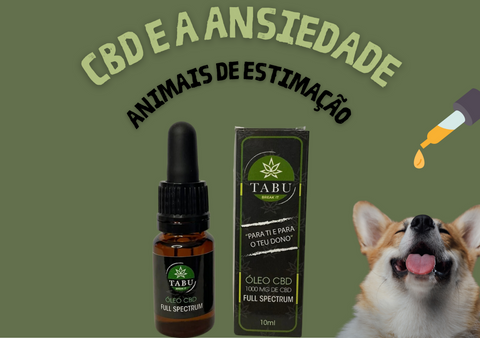 O CBD pode reduzir o stress e ansiedade dos cães durante viagens de carro? Vamos descobrir!