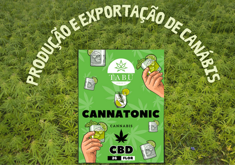 Produção e exportação de canábis para fins medicinais bate recorde!