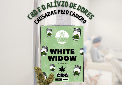 CBD e o alívio de dores causada pelo Cancro