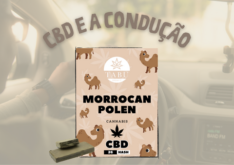 CBD e a Condução: O Que Dizem as Pesquisas?