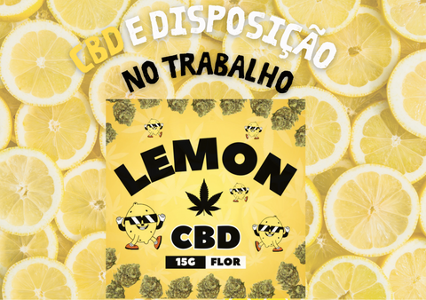 CBD e a Disposição no Trabalho