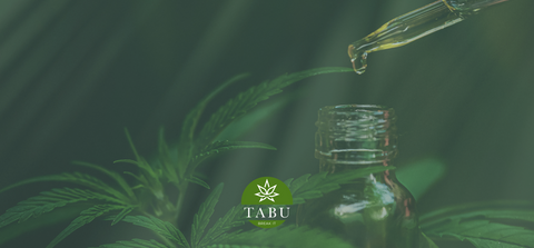 Poder do Óleo de Cânhamo para Aliviar o Stress e a Ansiedade