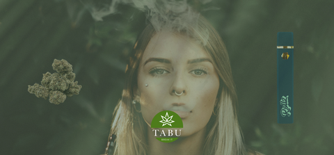 Descobre os Vapes de 10-OH: A Nova Forma de Descontrair com Estilo