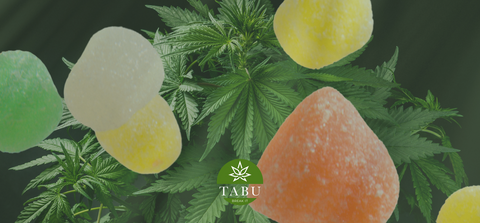 Gomas de 10-OH Premium: O Teu Momento de Relax, Em Forma de Sabor