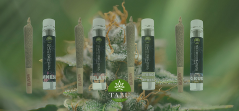 Pre-Rolls de 10-OH: O Novo HHC Já Está Aqui