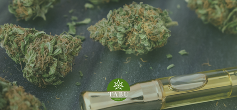 Vapes de CBD para a tua rotina de Bem-Estar