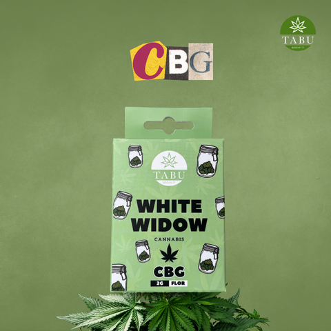 CBG: O que é e como atua?