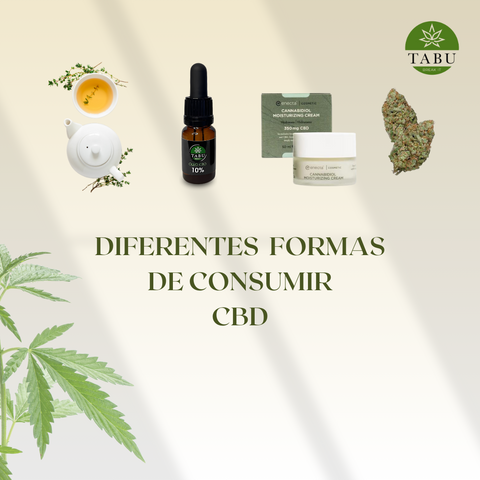 Não sabes como consumir CBD? Descobre agora ..
