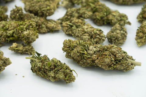 CBG: Tudo o que quiseste saber sobre o Canabinóide da Moda