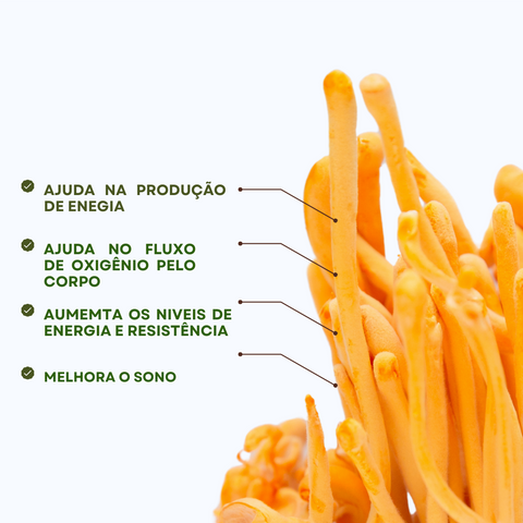 Cordyceps - Aumenta a Energia e Resistência (substitui o café)