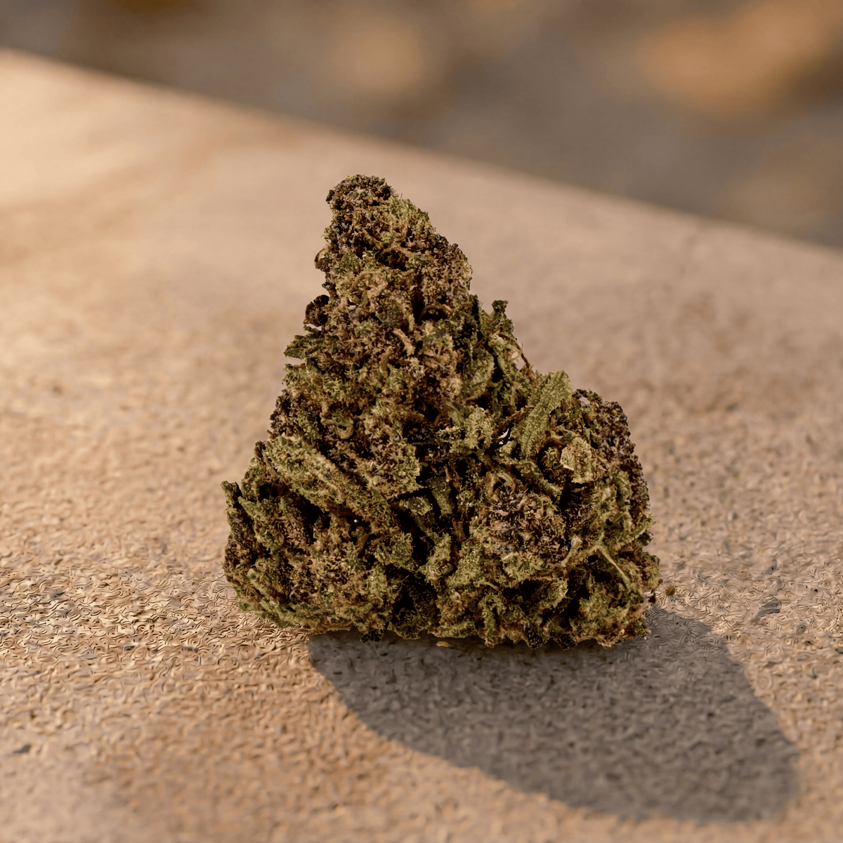 Flor de CBD Champagne Kush