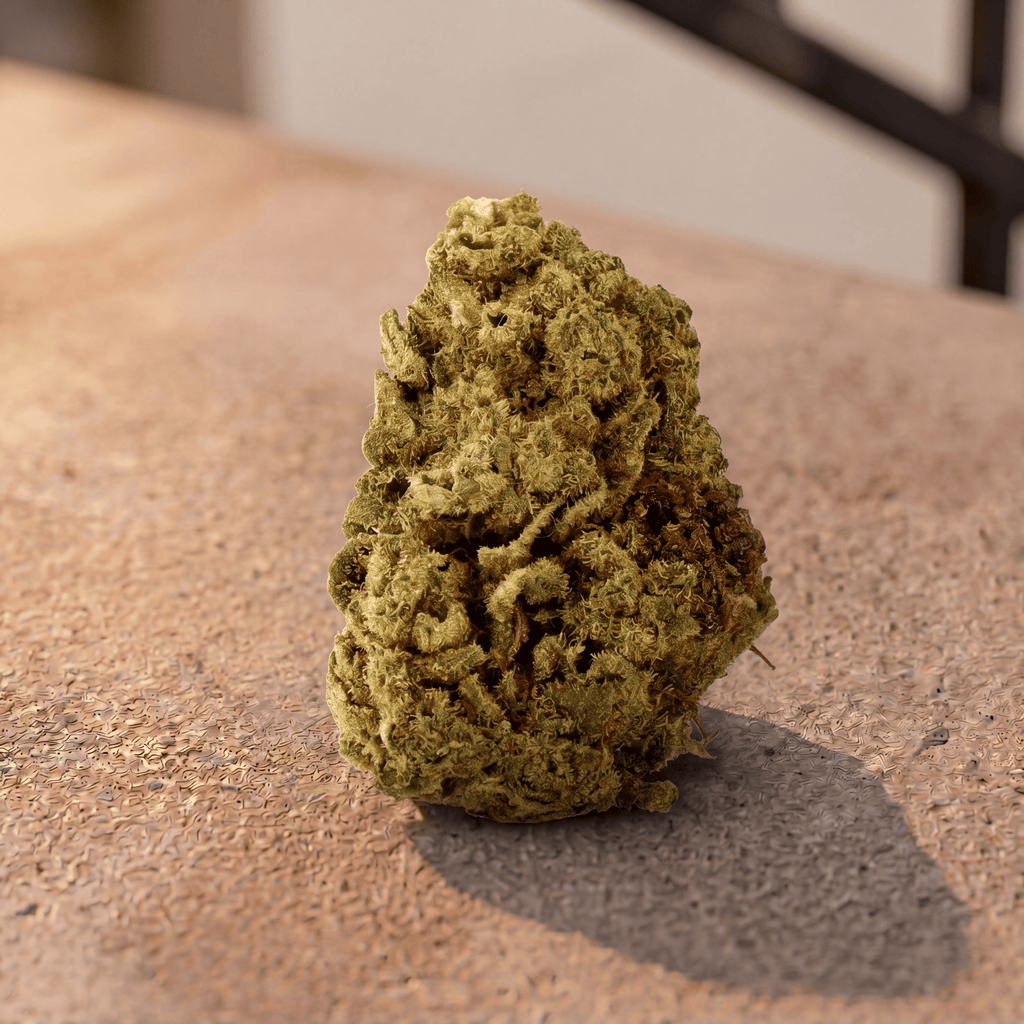 Flor de CBD Gelato
