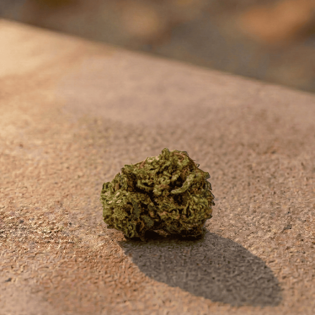 Flor de CBD Orange Small Buds
