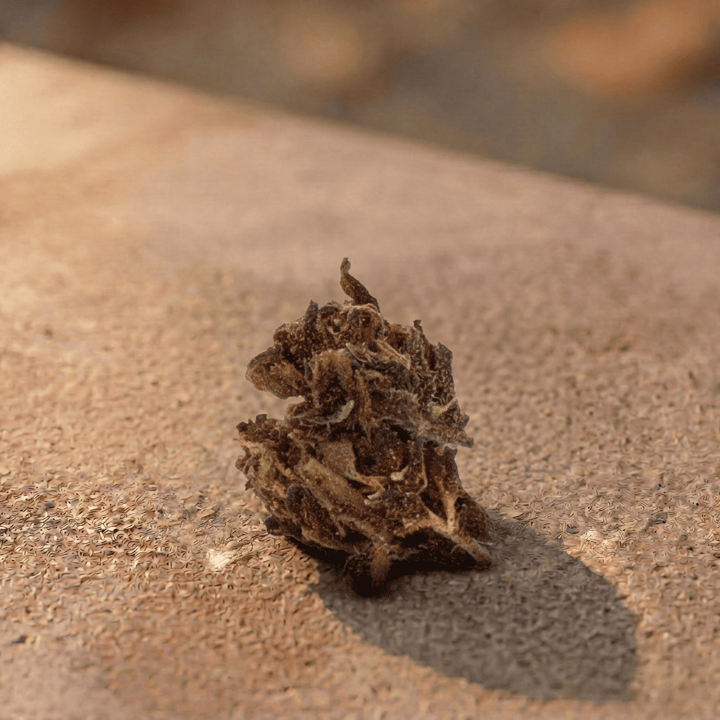 Flor de CBD Pop Corn Small Buds