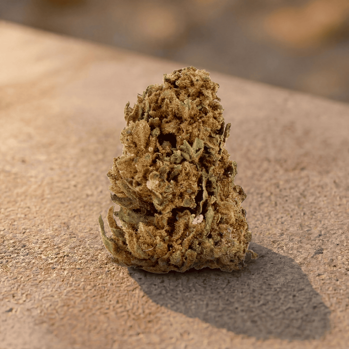Flor de CBD Tangie